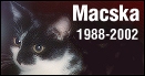 Macska 1988-2002