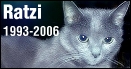 Ratzi 1993-2006